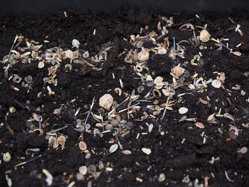 Potting Mix