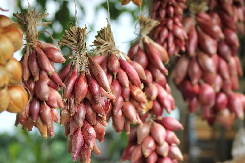 Hanging pots in a small garden